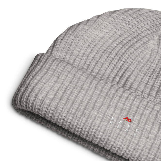 Next Play Music Embroidered Logo Fisherman beanie - Image 14