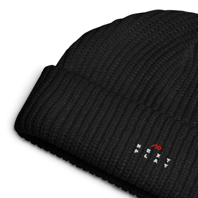 Next Play Music Embroidered Logo Fisherman beanie - Image 2