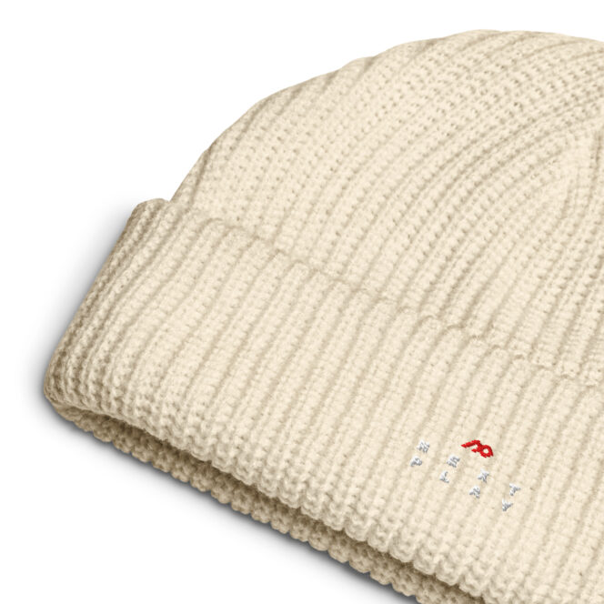 Next Play Music Embroidered Logo Fisherman beanie - Image 17
